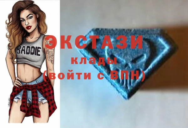 индика Горно-Алтайск