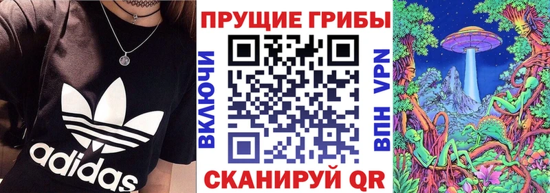 Псилоцибиновые грибы GOLDEN TEACHER  Духовщина 